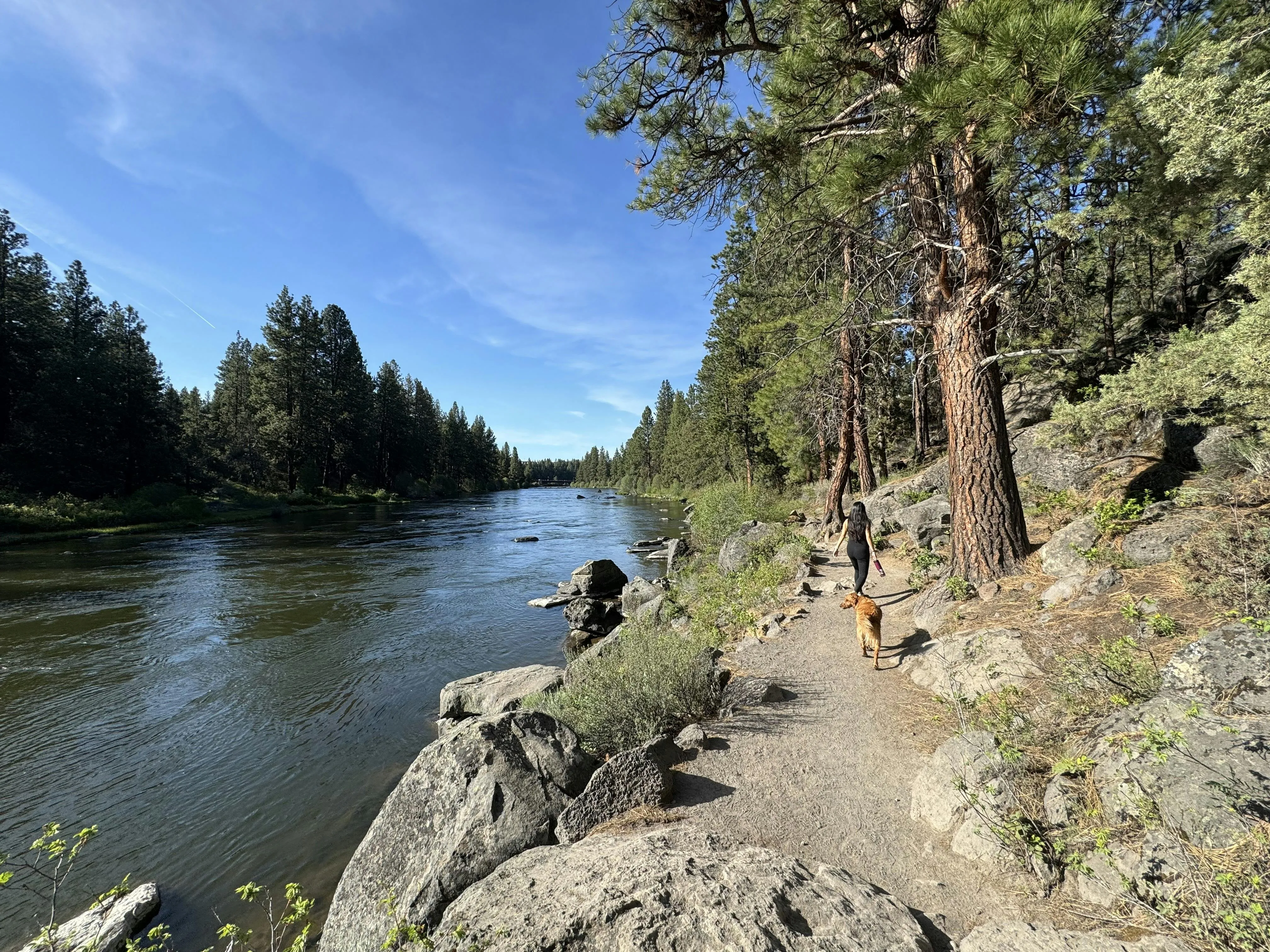A woman in black activewear walks a golden retriever on a dirt trail beside a calm river lined with pine trees under a blue sky